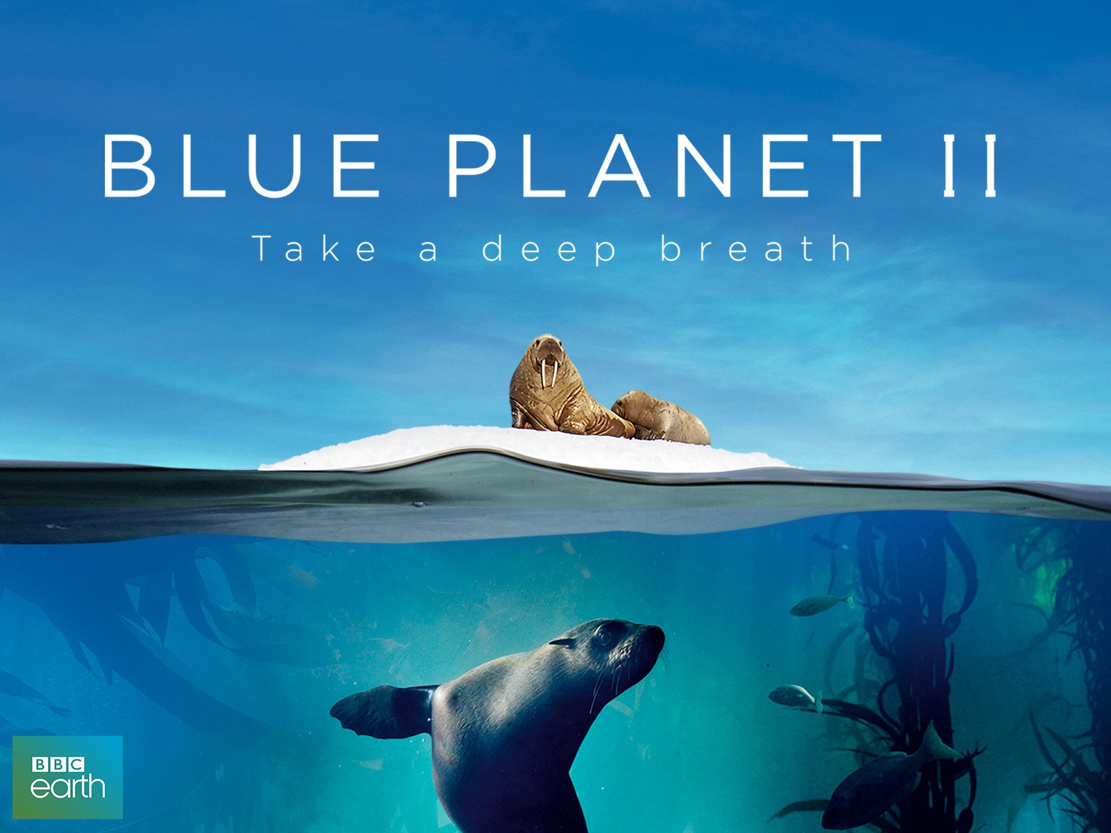 blue planet org
